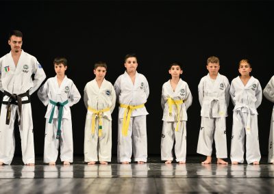 CDM taekwon-do Assemini1