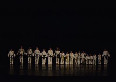 CDM taekwon-do Assemini14